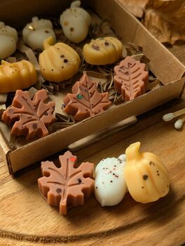 Autumnal Wax Melt Selection Box For Autumn Decor, 6 of 10