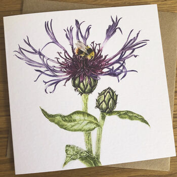 Just Bees! Botanical Floral Art Card Gift Set, 2 of 5