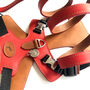 Red Pooch Pack Harness, thumbnail 2 of 6