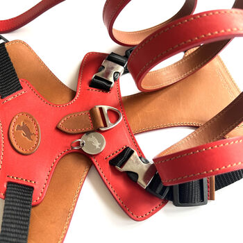 Red Pooch Pack Harness, 2 of 6