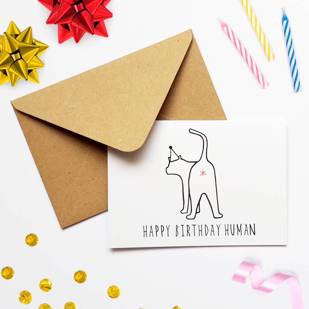 Funny Cat Lover Birthday Card 'Happy Birthday Human', 1 of 2