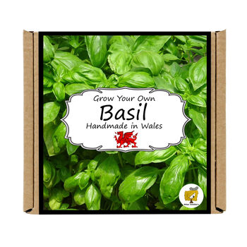 Herb Garden Basil Growing Kit. Gardening Gift, 4 of 5