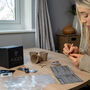 Chinese Redbud Bonsai Tree Starter Kit, thumbnail 7 of 10