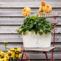 Personalised Metal Planter For Her, thumbnail 6 of 7
