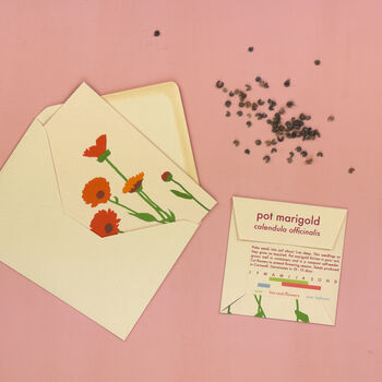 Pot Marigold Greeting Card With Seeds, 4 of 6