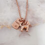 Chihuahua Personalised Silver Necklace, thumbnail 8 of 11