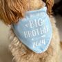 Big Brother Pregnancy Announcement Dog Bandana, thumbnail 1 of 7