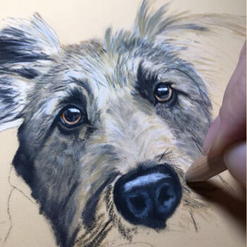 Personalised Pet Portrait In Pastel Pencil, 5 of 7