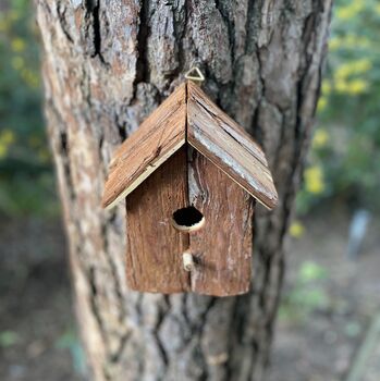 Set Of Two Barkwood Birdhouse Nest Boxes, 6 of 6