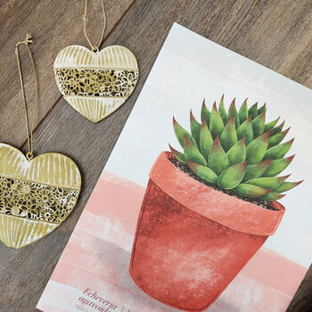 Echeveria Agavoides Illustrated Print, 5 of 5