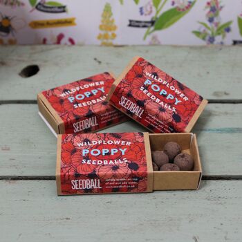 Wildflower Poppy Seed Boxes, 3 of 7
