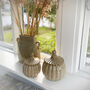Pumpkin Jar Set, thumbnail 3 of 8