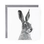 Countryside Hare Wildlife Greeting Card, thumbnail 2 of 6