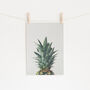 Pineapple Top Photographic Fruit Print, thumbnail 1 of 2