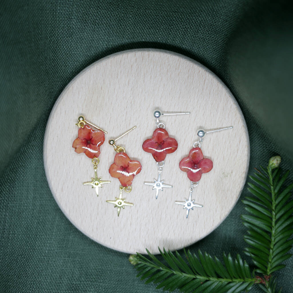 Christmas Star Pressed Flower Dangle Stud Earrings, 1 of 3