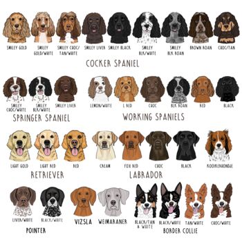 Personalised Christmas Cups For You And Your Dog, 9 of 11