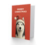 Cute Siberian Husky Dog Wearing Santa Hat Christmas Card, thumbnail 2 of 4