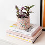 Rainbow Handmade Terrazzo Indoor Planter Medium, thumbnail 1 of 6