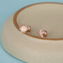 Sterling Silver Starfish And Shell 18 G Screw Back Stud Earrings, thumbnail 7 of 12
