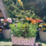 Aged Blue And White Ceramic Rectangular Planter – 40cm, thumbnail 3 of 5