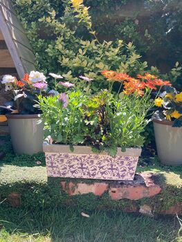 Aged Blue And White Ceramic Rectangular Planter – 40cm, 3 of 5