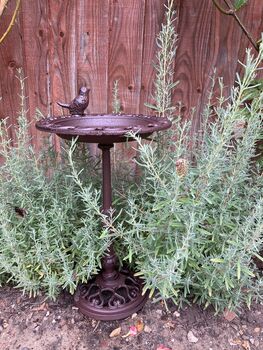Freestanding Cast Iron Bird Bath – Metal Garden Feature, 7 of 10