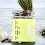 Personalised Cactus Jar Grow Kit, thumbnail 2 of 12