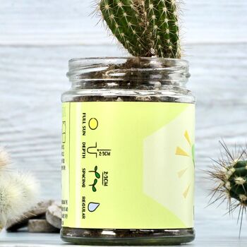 Personalised Cactus Jar Grow Kit, 2 of 12