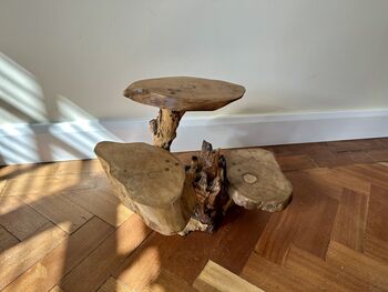 Varnished Teak Root Wooden Plant Multi Level Stand, 11 of 12