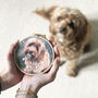 Personalised Pet Portrait Hoop, thumbnail 1 of 3