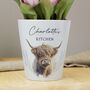 Personalised Highland Cow Plant Pot, thumbnail 1 of 2