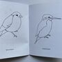 'Colouring Book Of Birds', thumbnail 9 of 9