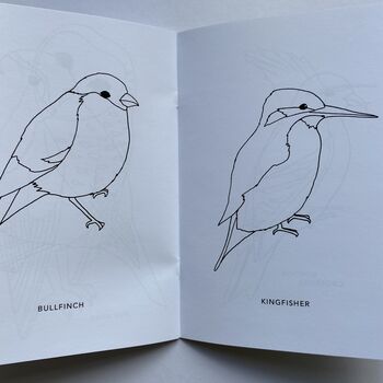 'Colouring Book Of Birds', 9 of 9