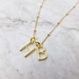 18k Gold Vermeil Plated Double Initial Pendant Necklace, thumbnail 1 of 6