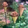 Set Of Three Copper Rosette Flower Stakes Ltzaf151, thumbnail 3 of 9