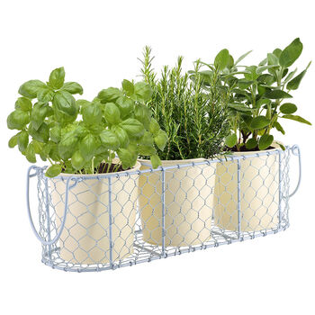 Personalised Gin Herbs Planter Set, 2 of 9