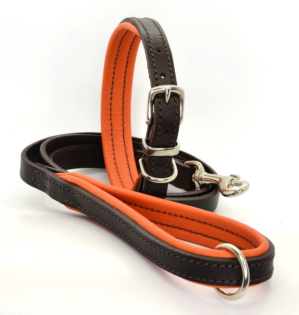 Luxury Padded Leather Dog Collar By Dogs U0026 Horses