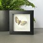 Personalised Hand Drawn Moth Artwork With Book Pages And Moon, thumbnail 3 of 7