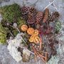 Natural Christmas Floristry Display Box, thumbnail 9 of 11