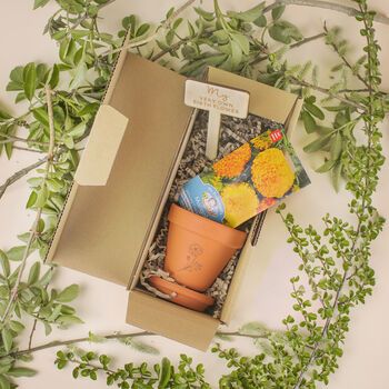 Birth Flower Seed Box Gift Set, 2 of 5