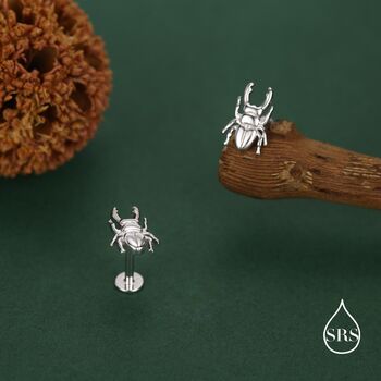 Sterling Silver Stag Beetle 16g Flat Back Stud Earrings, 6 of 11