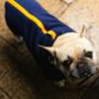 French Bulldog Polartec Water Resistant Dog Coat, thumbnail 1 of 10