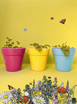 Thank You For Helping Me Grow Teacher Wildflower Seeds, 9 of 9