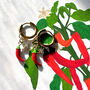 Chilli A4 Art Print And Chilli Earrings Gift Set, thumbnail 2 of 9