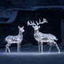 Large Harlow Rattan Reindeer Duo, thumbnail 4 of 9