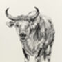 B Is For Banteng Illustration Print, thumbnail 2 of 6