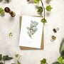 Christmas Botanical Note Card Set, thumbnail 4 of 6