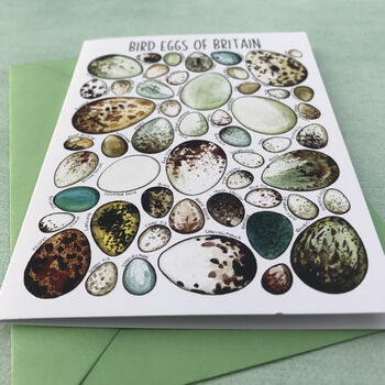 Bird Eggs Of Britain Art Blank Greeting Card, 10 of 12