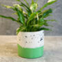 Handmade Green And Cream Plant Pot, thumbnail 2 of 3