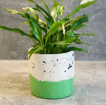 Handmade Green And Cream Plant Pot, 2 of 3